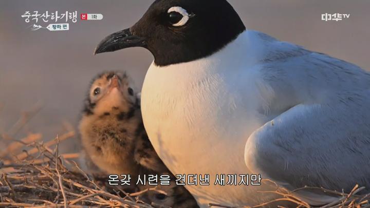 포스터 이미지