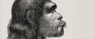 ׾ȵŻ  Secrets of the Neanderthals 2024 ѱۼڸ