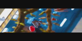 [SF׼]  -i ..ȣr,1O8Op BluRay5.1 ʰȭ