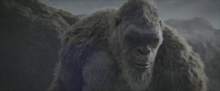 [ڸ]  X    ̾ Godzilla.x.Kong.The.New.Empire.2024.2160p.HDR10Plus.WEBRip.6CH.x265.HEVC-PSA